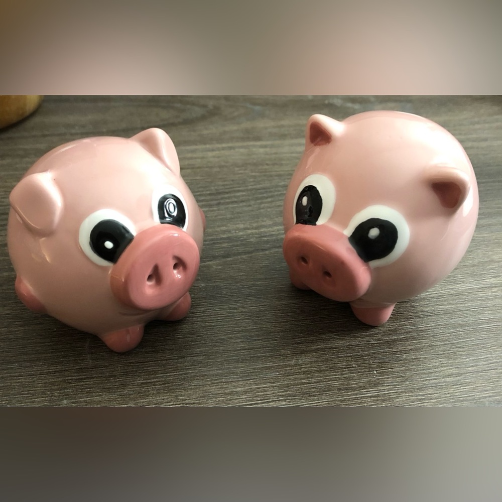 Pink Pigs Salt & Pepper Shakers NWOT